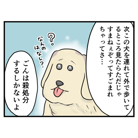 46