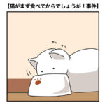 私の夫は猫至上主義！４話「猫がまず食べてからでしょうが」